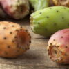 prickly pear seed oil opuntia ficus indica