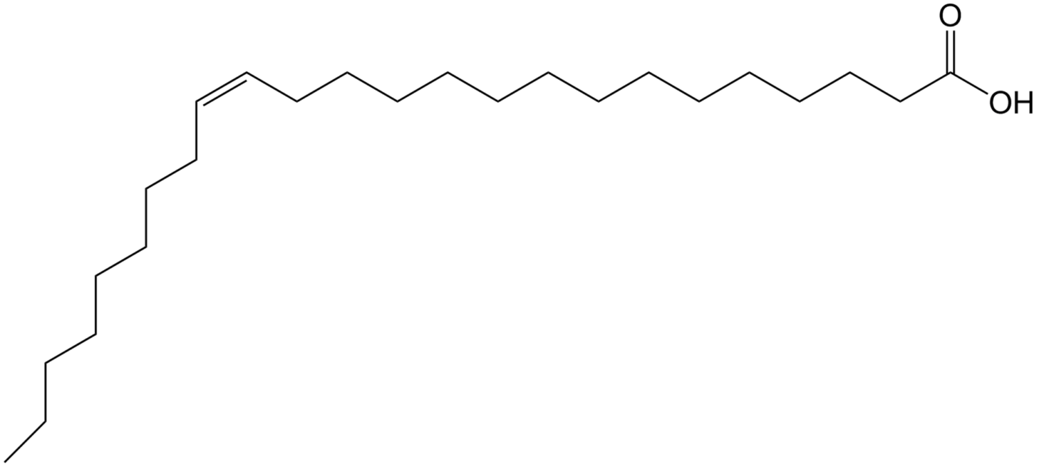 skelletformel for nervonic acid