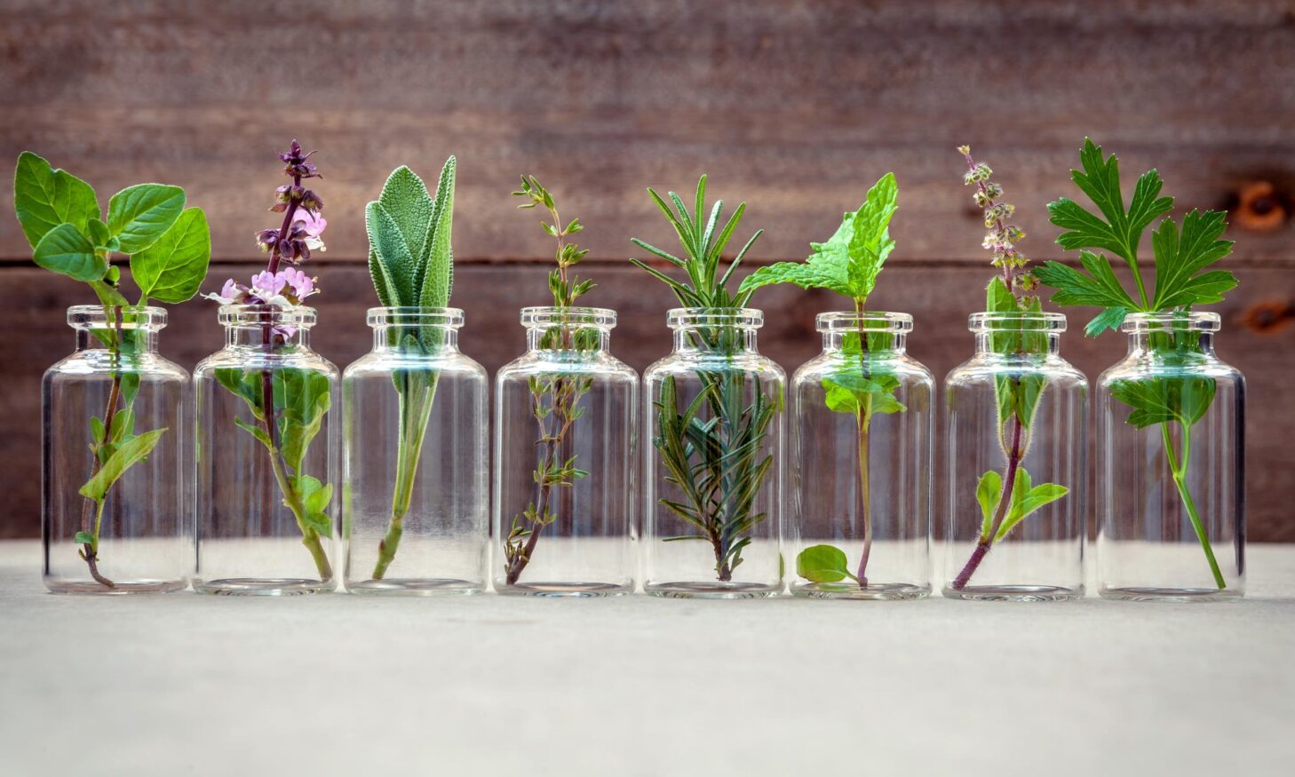 glasflasker med blomster i - repræsenterer æteriske olier