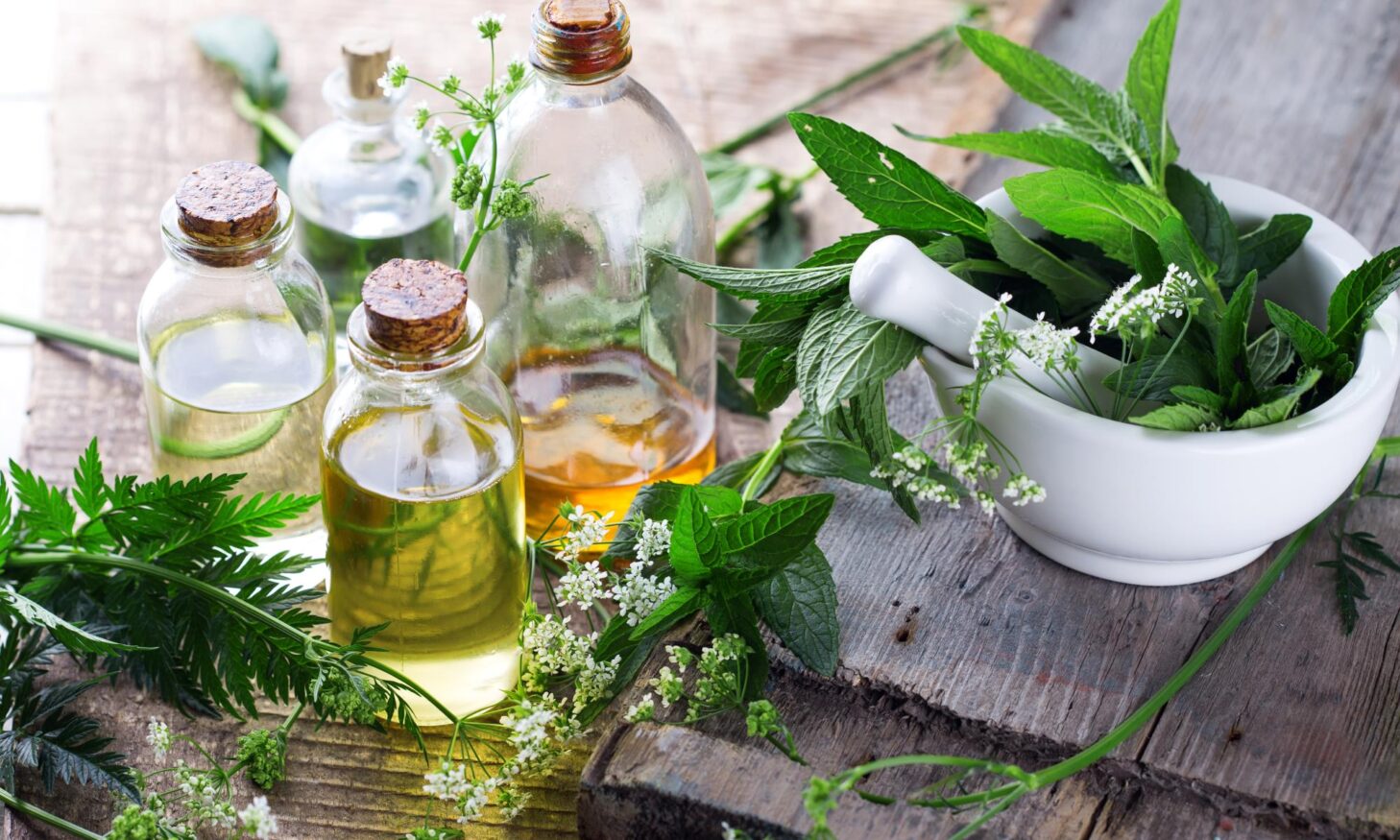 vegetable oils with herbs