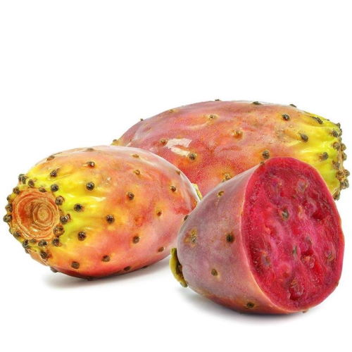 prickly pear seed oil prickly opuntia ficus indica