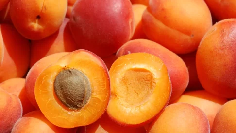 aprikoser aprikoskärnolja för hår